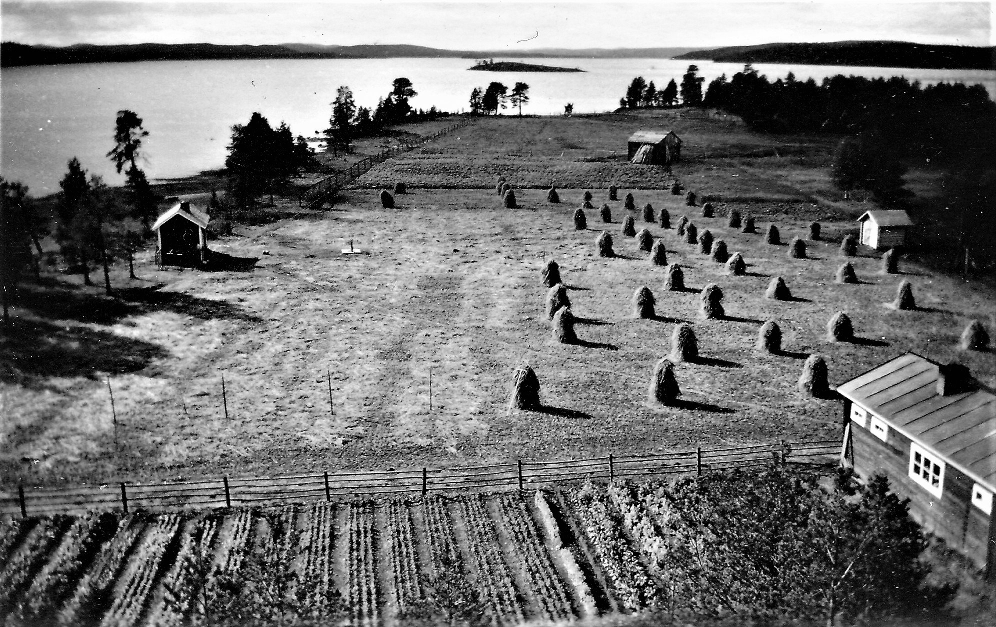 Paadarin rantapellot