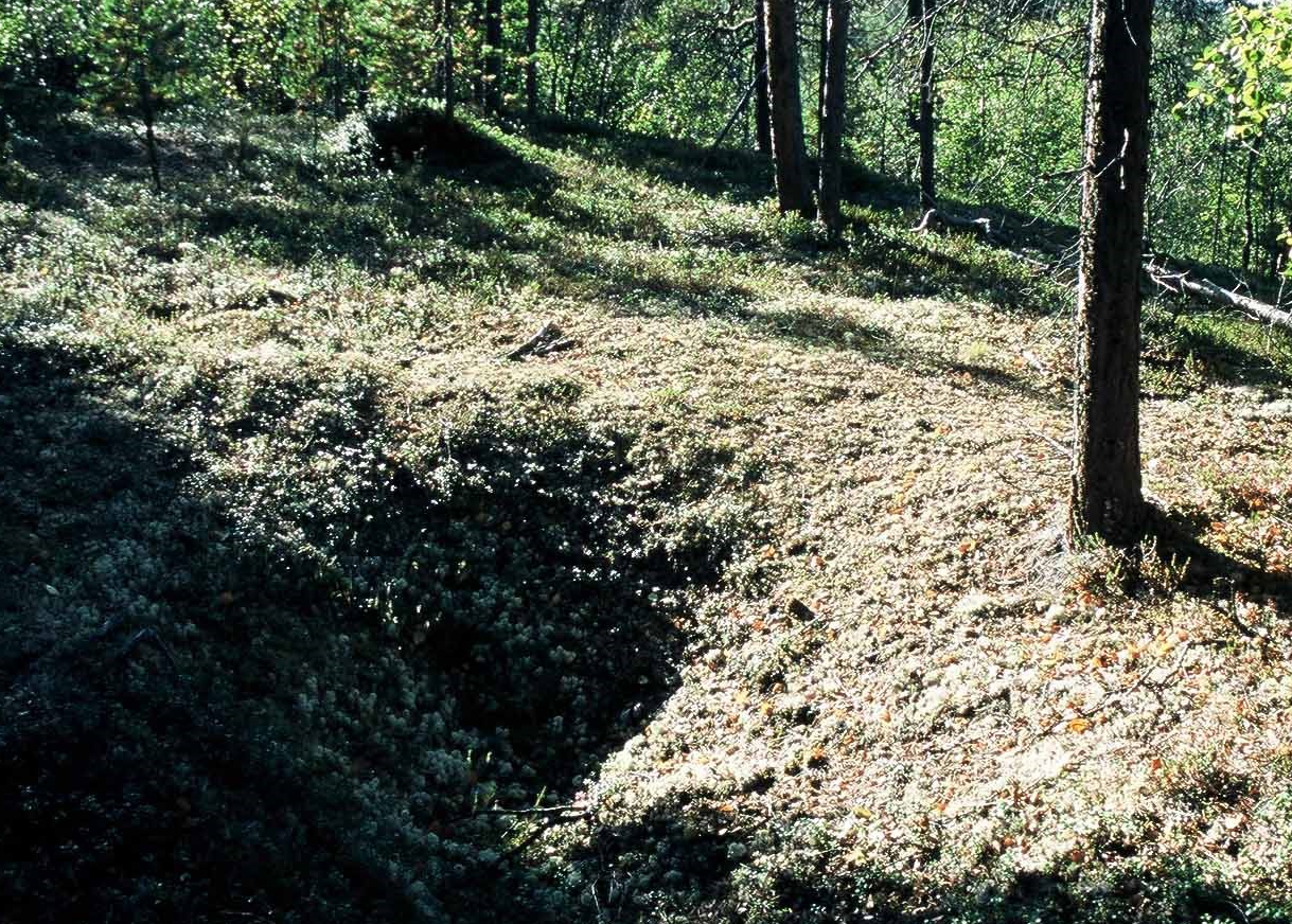 Peurakuoppa Vuontisjärvellä