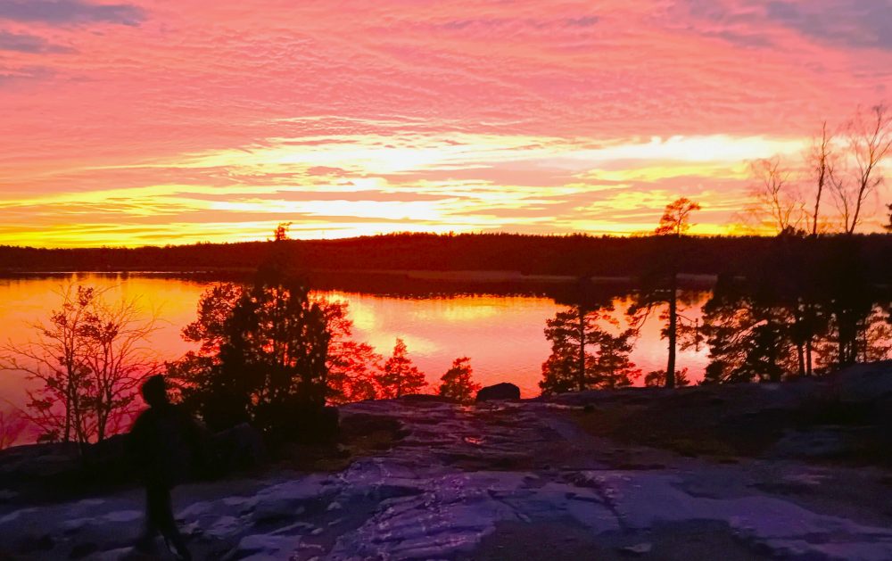 Seppo J. Partanen